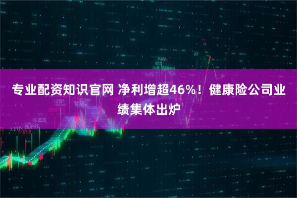 专业配资知识官网 净利增超46%！健康险公司业绩集体出炉